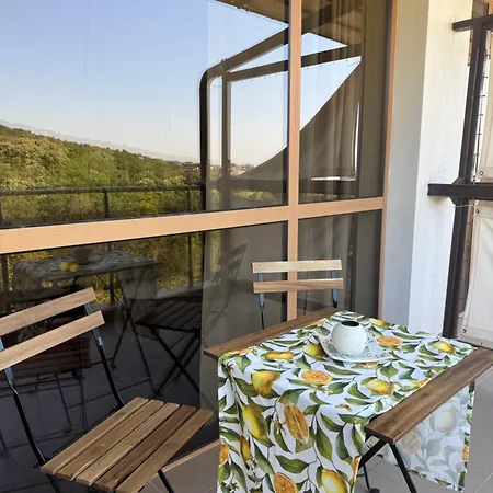 Golden Lemon 瓦爾納